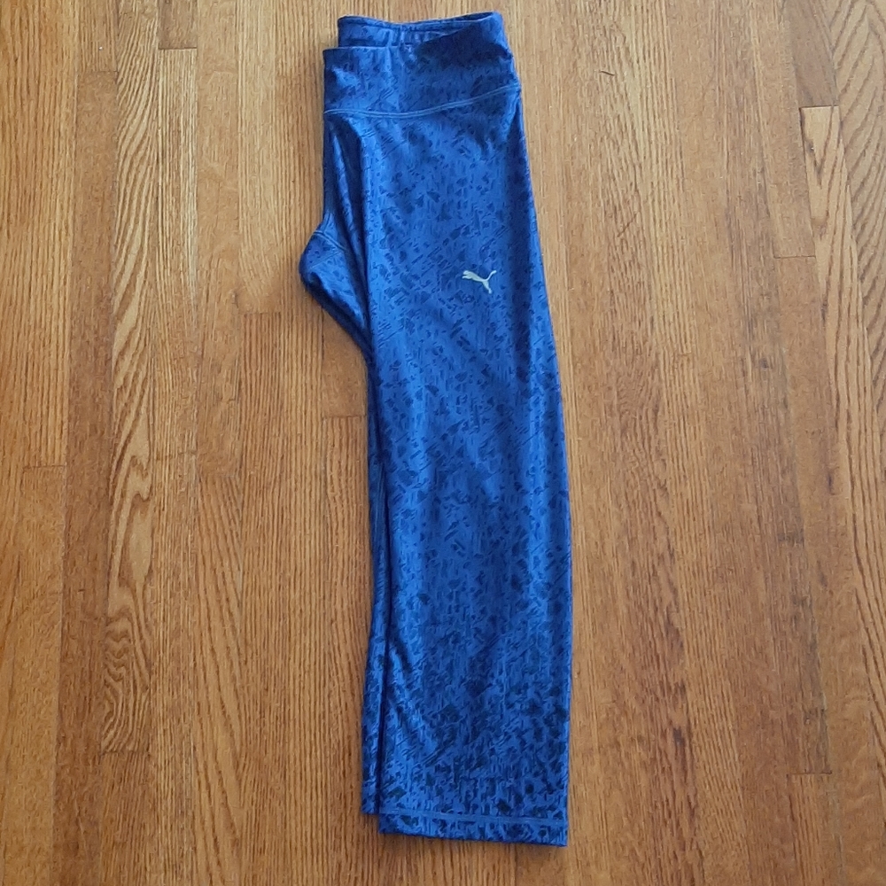 Puma capri
